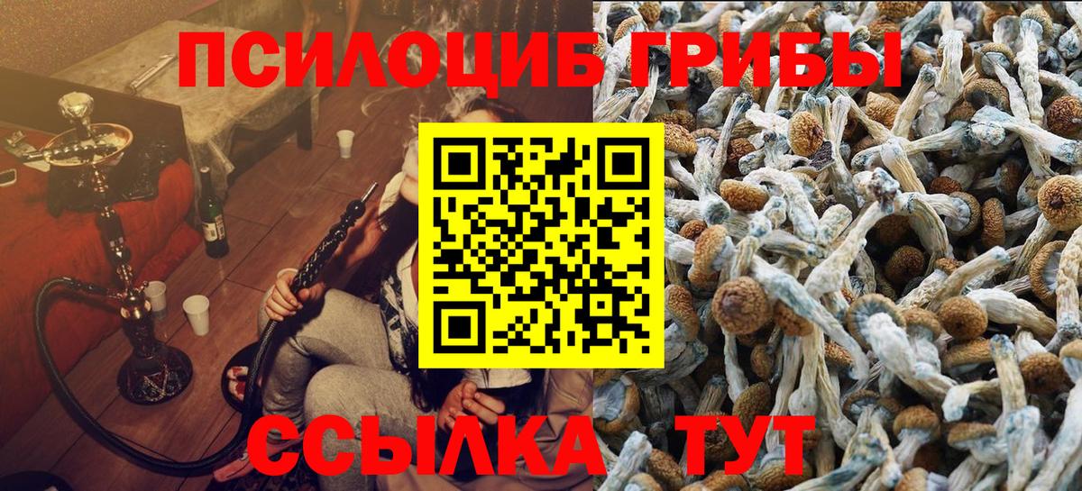 Галлюциногенные грибы Мыски