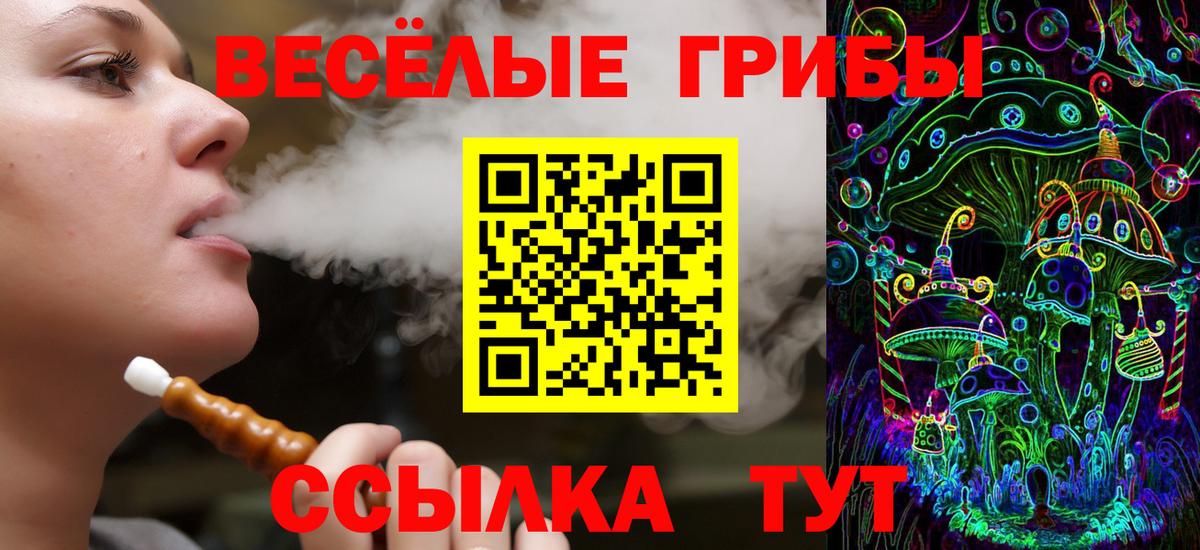 как найти закладки  Галлюциногенные грибы прущие грибы  Вход с VPN  Мыски 