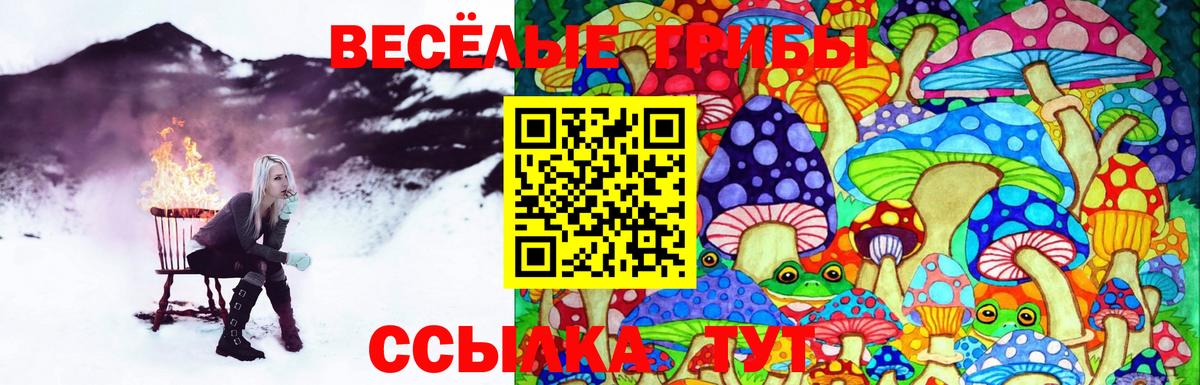 Галлюциногенные грибы GOLDEN TEACHER Мыски